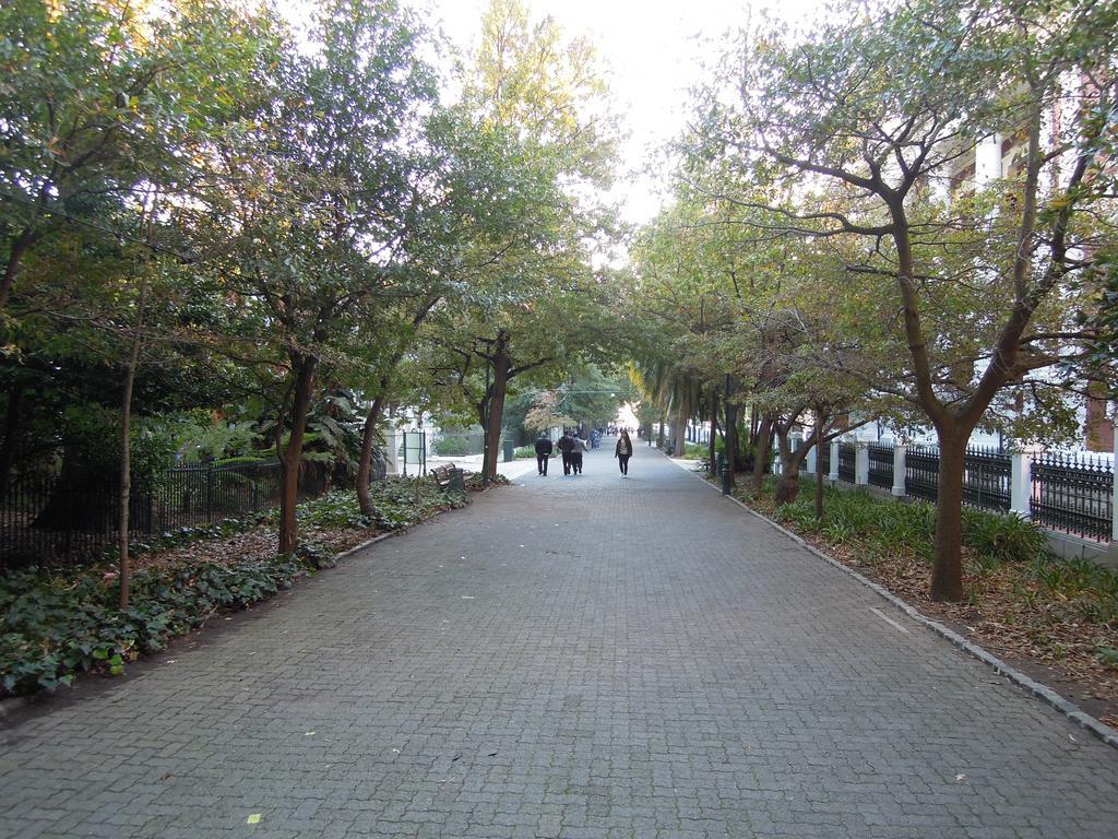 Cape Town City Luxury Apartments المظهر الخارجي الصورة